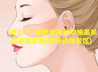 揭 🐯 秘西安碑林欢愉晶肤的美丽密码(西安碑林景区)